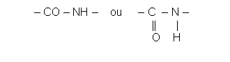 Text Box: – CO – NH –    ou     – C  – N –                                         ||      |                                                O    H